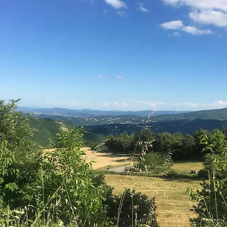 アパート Amazing In *